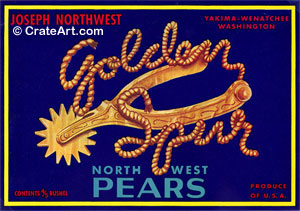 GOLDEN SPUR (P)