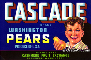CASCADE (P)