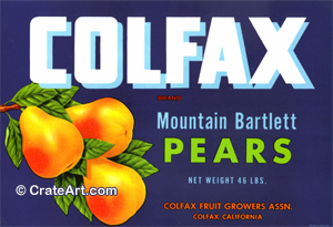 COLFAX (P) #1
