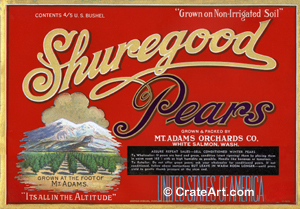 SHUREGOOD (P) #2