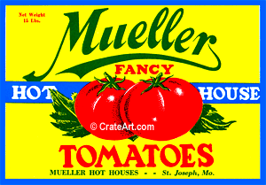 MUELLER (T)