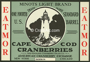 MINOTS LIGHT (C)