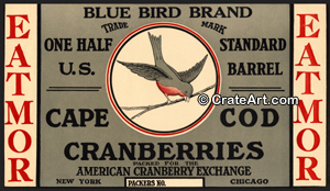BLUE BIRD (C) #2