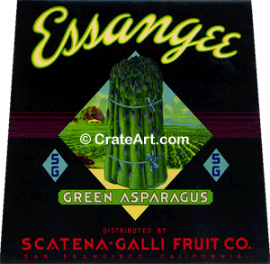 ESSANGEE (AP)