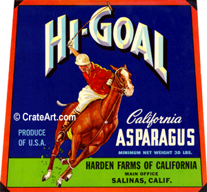 HI-GOAL (AP)