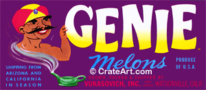 GENIE (M)