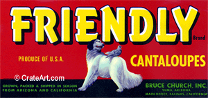 FRIENDLY (M)