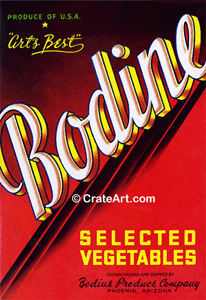BODINE (AZ) (V)