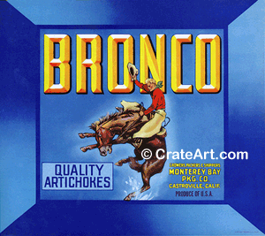 BRONCO (V)