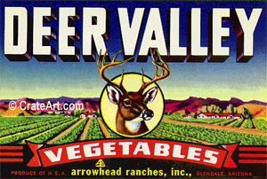 DEER VALLEY (AZ) (V) #2