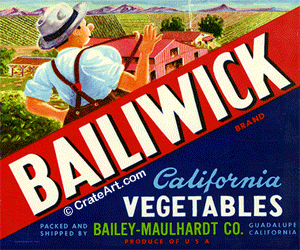 BAILIWICK (V)
