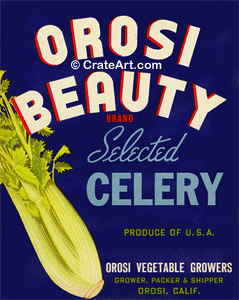 OROSI BEAUTY (V)