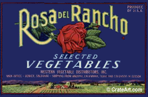 ROSA DEL RANCHO (V)
