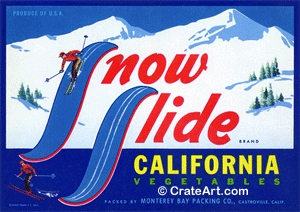 SNOW SLIDE (V)