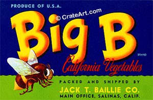 BIG B (V)