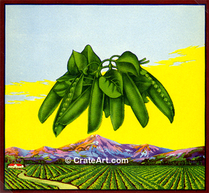 PEAS #923 (V)