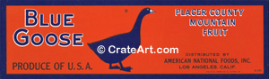 BLUE GOOSE (CH)