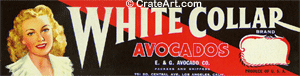 WHITE COLLAR (AV)