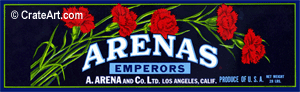 ARENAS (G) #2