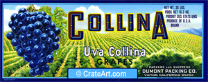 COLLINA (G) #1