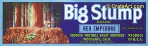 BIG STUMP (G) #2