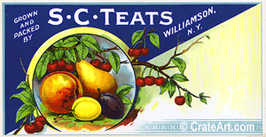 S.C. TEATS (MF)