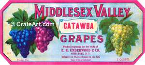 MIDDLESEX VALLEY (NY) #1
