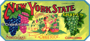 CUPID (NY)