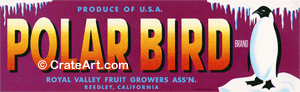 POLAR BIRD (G)