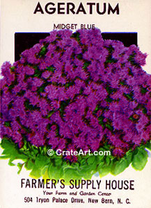 AGERATUM (SF) #411