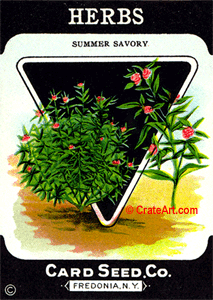 HERBS (SH) #807