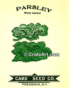 PARSLEY (SH) #4