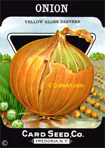 ONION (SV) #361