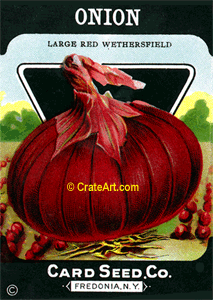 ONION (SV) #460