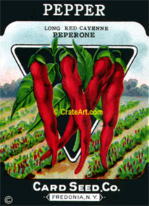 PEPPER (SV) #386