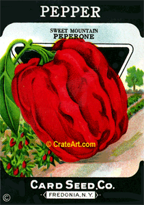 PEPPER (SV) #364