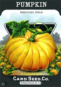 PUMPKIN (SV) #368