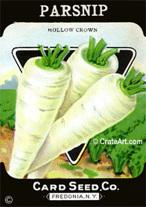 PARSNIP (SV) #363