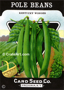 POLE BEANS (SV) #367