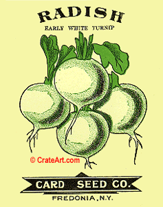 RADISH (SV) #5
