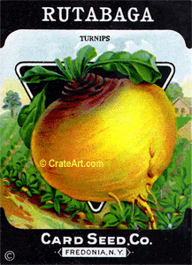 RUTABAGA (SV) #350