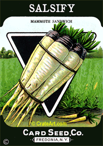 SALSIFY (SV) #445