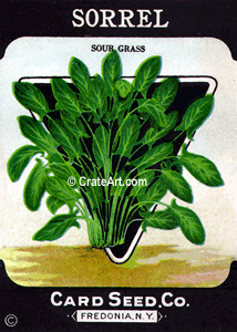 SORREL (SV) #804