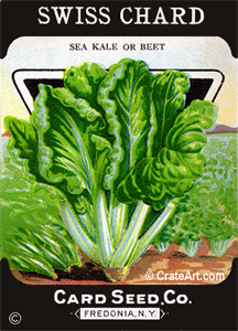 SWISS CHARD (SV) #552