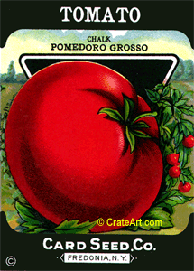 TOMATO (SV) #478