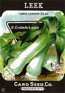 LEEK (SV) #541