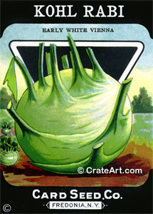 KOHL RABI (SV) #494