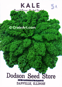 KALE (SV) #2486
