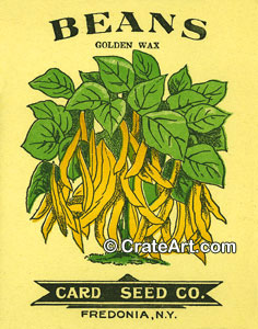 BEANS (SV) #3