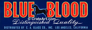 BLUE BLOOD (G)